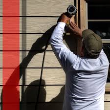 Best Steel Siding Installation  in Forrest, IL